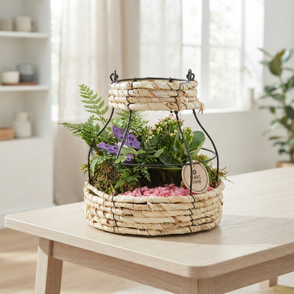 Pink and White Flower Arrangement – 20cm Pot