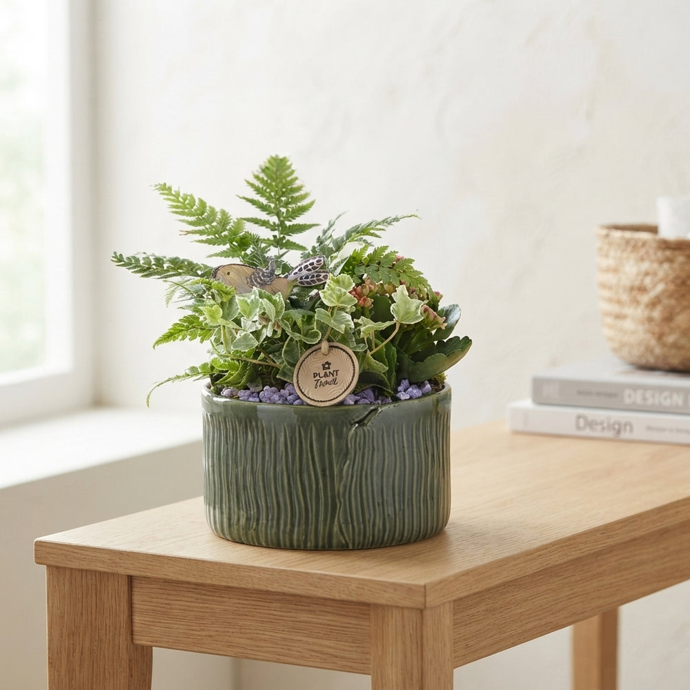 Dark Green Plant Arrangement – 18cm Pot