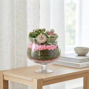 Elise Arrangement in Raised Bowl – 18cm