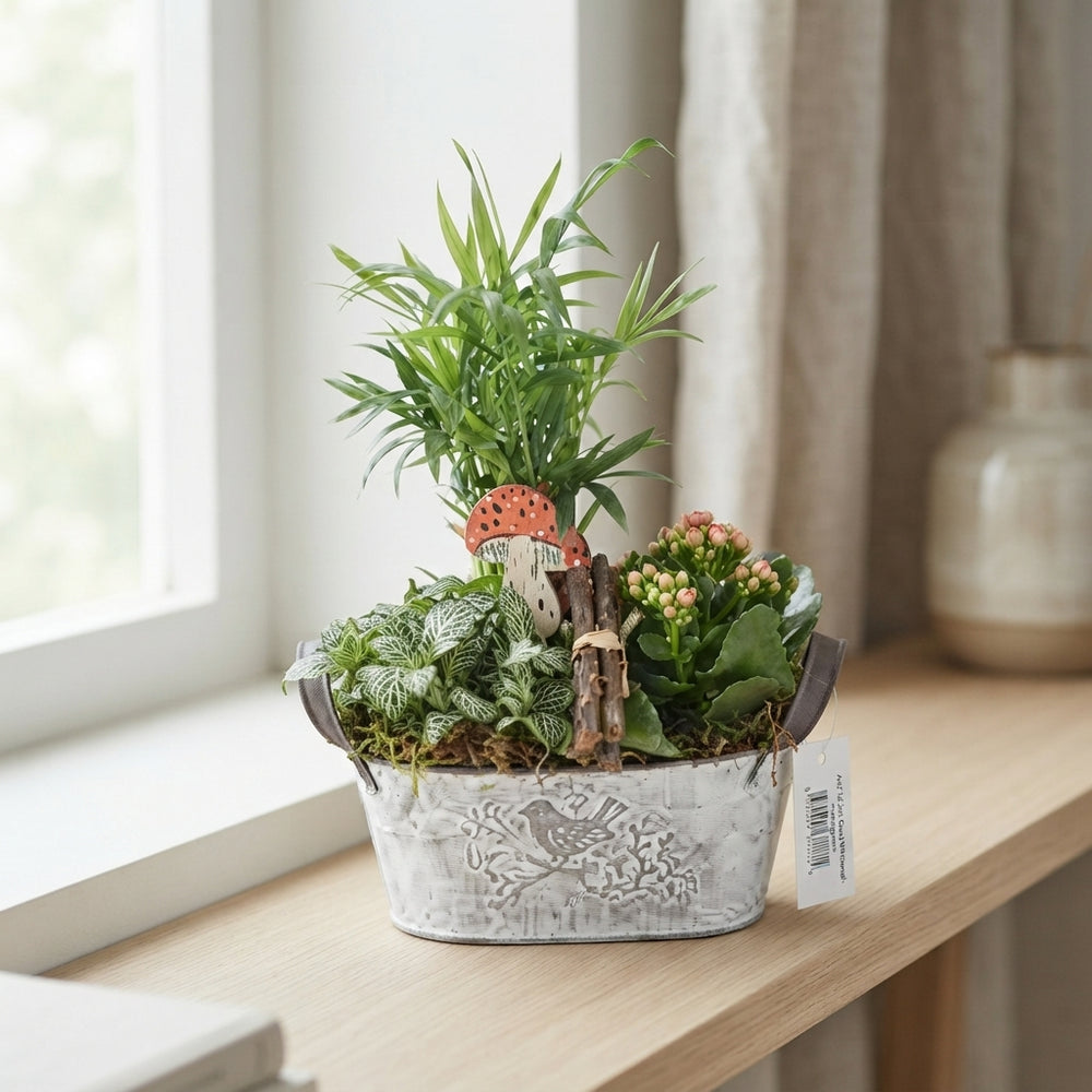 Mixed Plant Arrangement in Whitewashed Oval Zinc Pot – 20cm