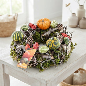 Orange Decorative Plant Arrangement – 30cm Pot