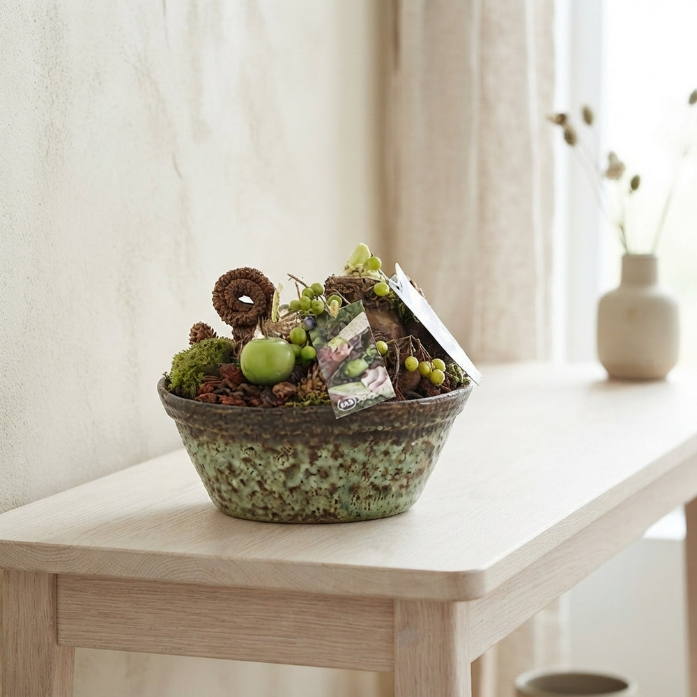 Amaryllis Arrangement in Ceramic Bowl – 20cm
