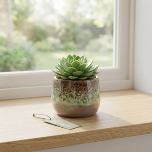 Succulent Arrangement in Brown Ceramic Pot – 20cm