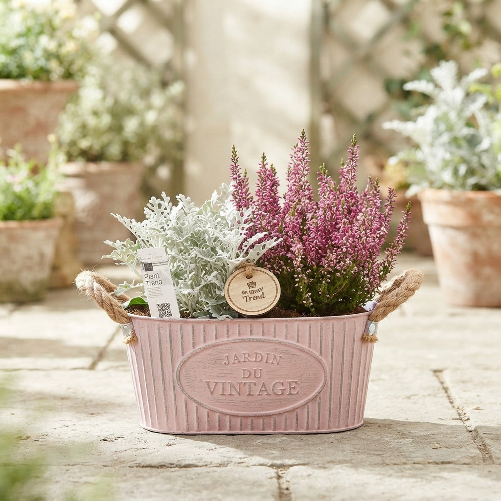 Vintage Zinc Garden Arrangement – 24cm Pot