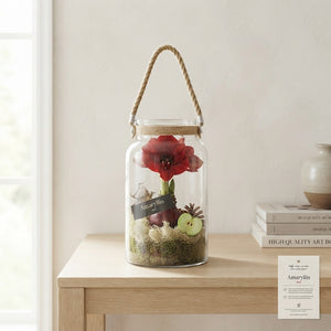 Amaryllis Arrangement in Glass Vase with Twine – 16cm