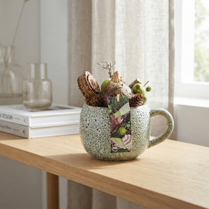 Amaryllis Arrangement in Dotz Ceramic Pot – 18cm