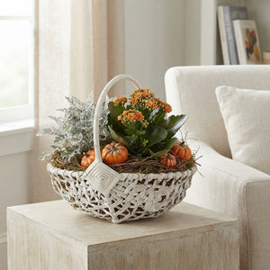 White Harvest Basket Mixed Flower Arrangement