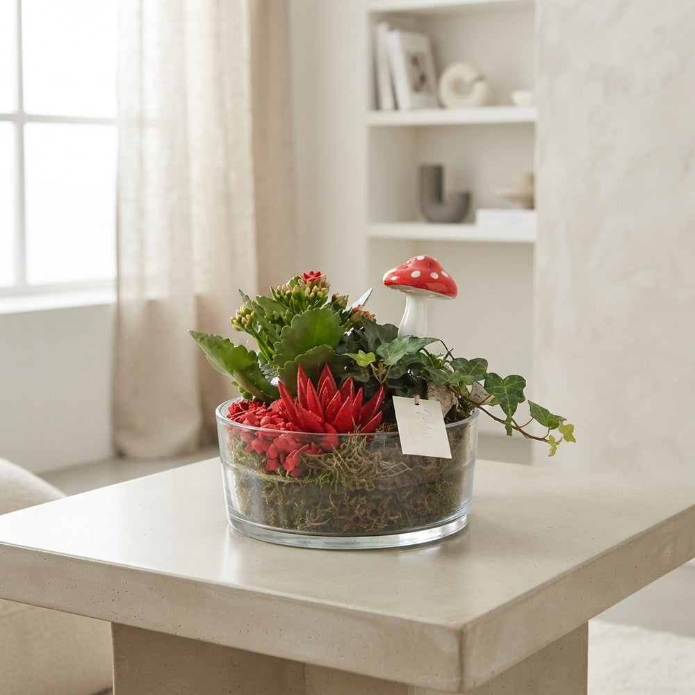 Sacremento Orange and Red Plant Arrangement – 18cm Glass Bowl