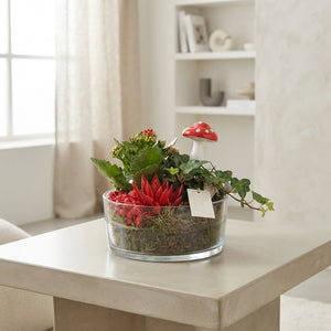 Sacremento Orange and Red Plant Arrangement – 18cm Glass Bowl