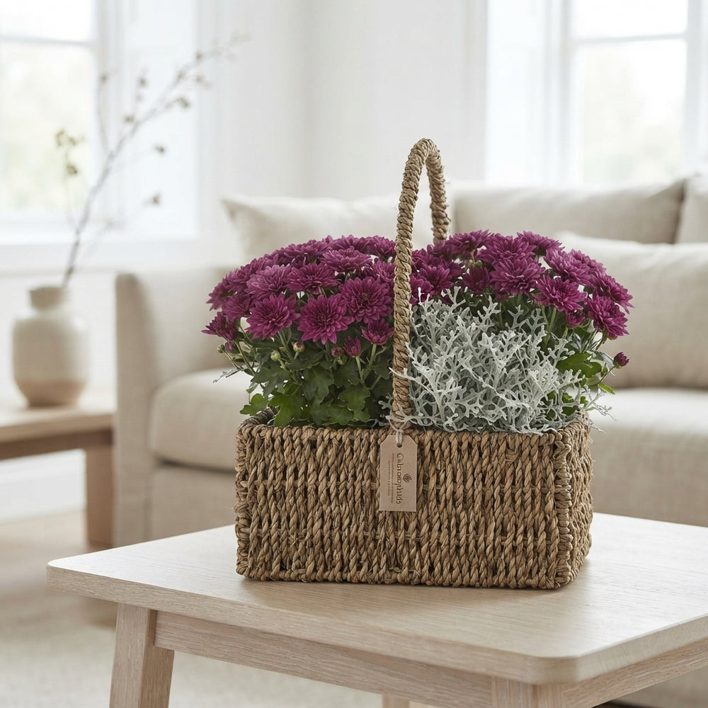 Mixed Colour Dried Grass Hanging Basket Arrangement