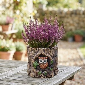 Autumn Outdoor Plant Arrangement – 17cm Decorative Pot