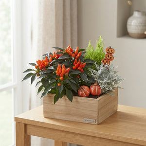 Garden Arrangement in Wooden Pot – 21cm