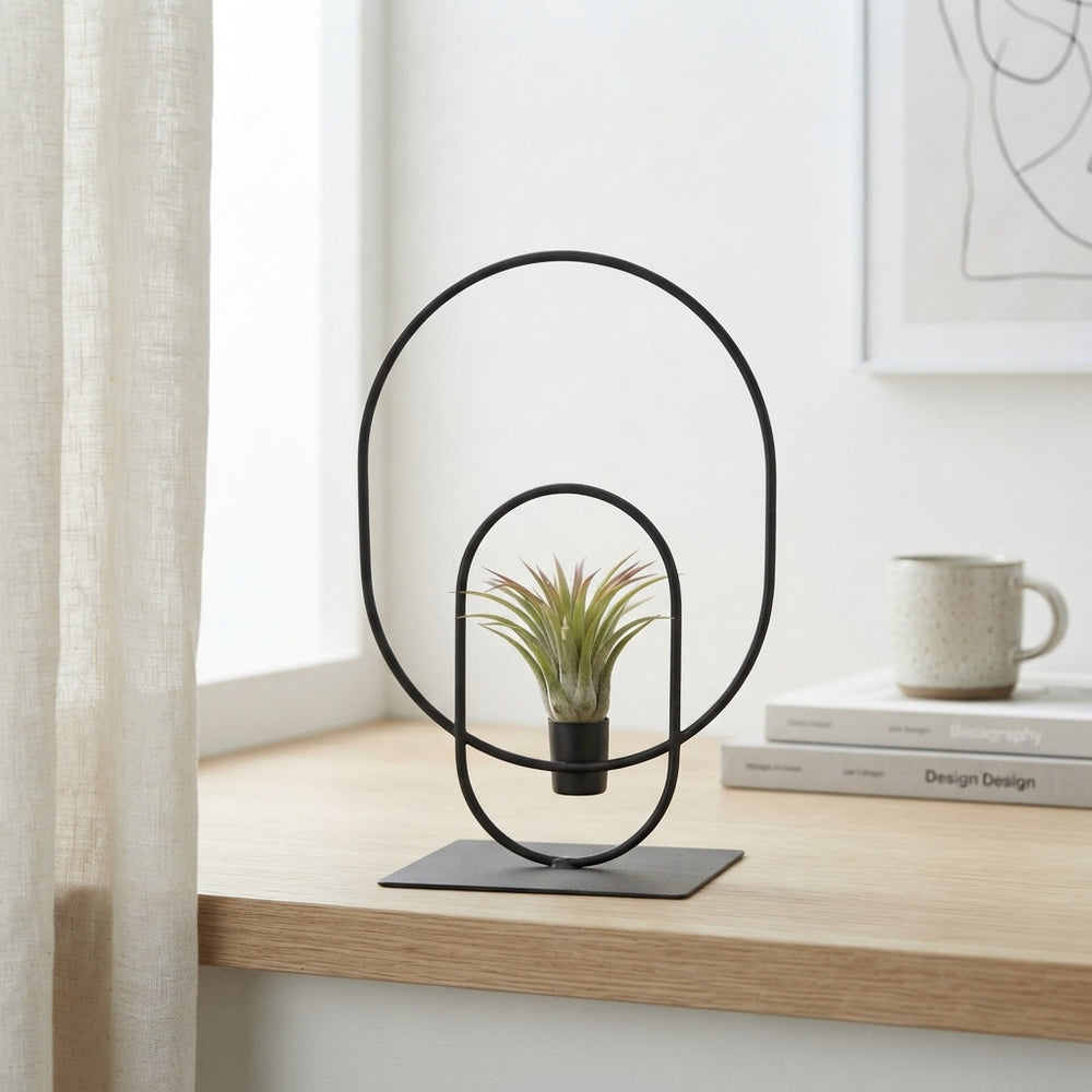 Tillandsia Air Plant Arrangement in Metal Pot – 17cm