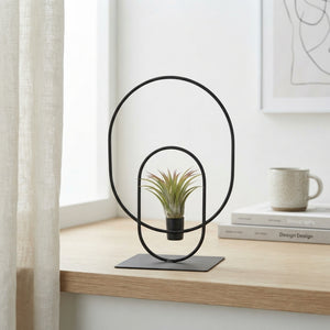 Tillandsia Air Plant Arrangement in Metal Pot – 17cm
