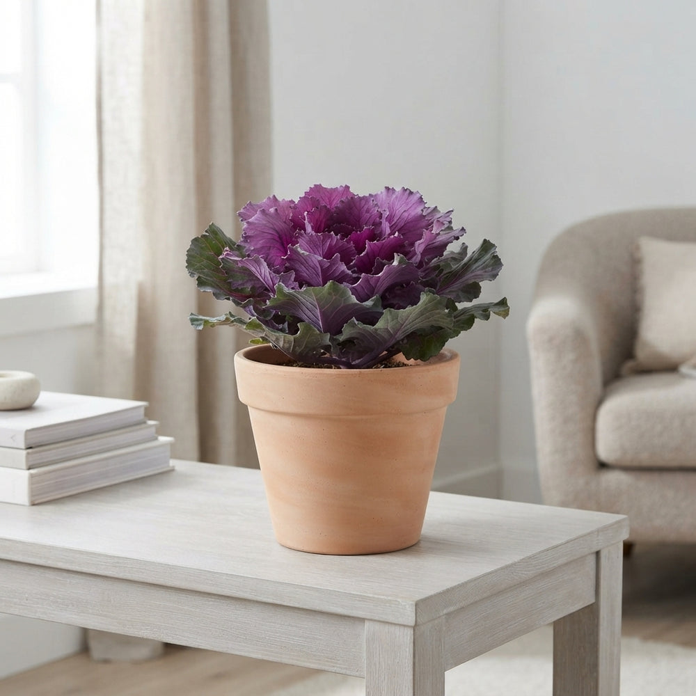 Mixed Colour Floral Arrangement – Grey Oval Pot