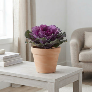Mixed Colour Floral Arrangement – Grey Oval Pot