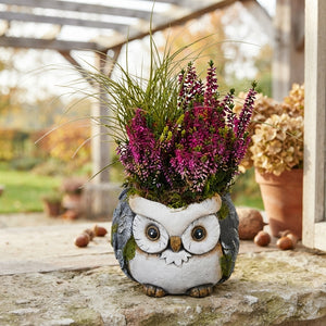 Autumn Owl Plant Arrangement – 16cm Ornamental Pot