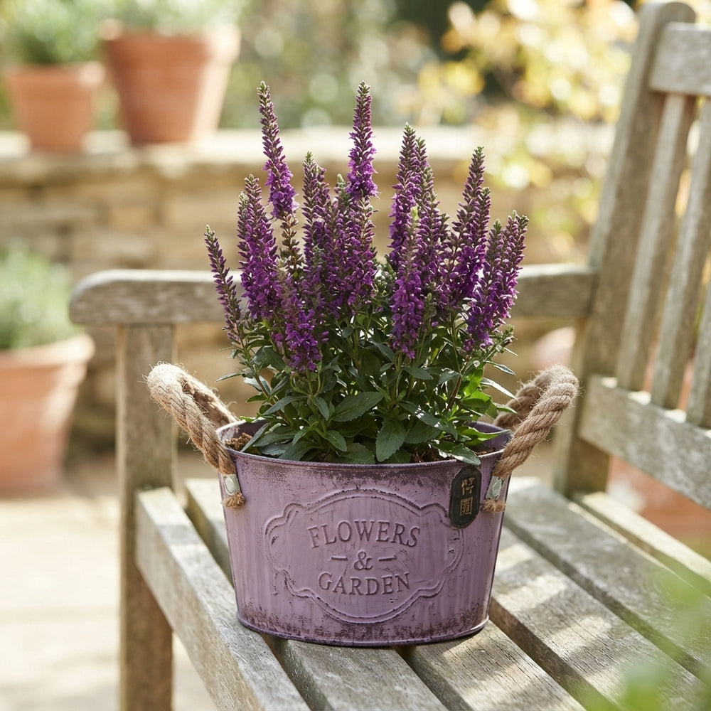 Autumn Outdoor Arrangement in Zinc Pot – 16cm