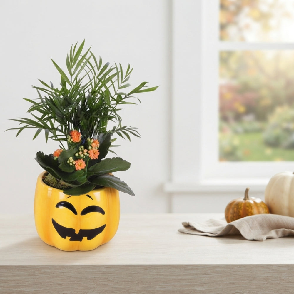 Halloween Indoor Arrangement in Ceramic Pumpkin Pot – 15cm