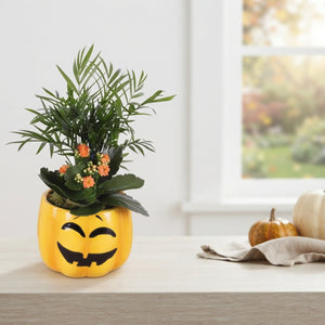 Halloween Indoor Arrangement in Ceramic Pumpkin Pot – 15cm