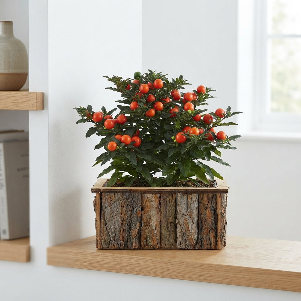 Mixed Colour Decorative Bark Arrangement