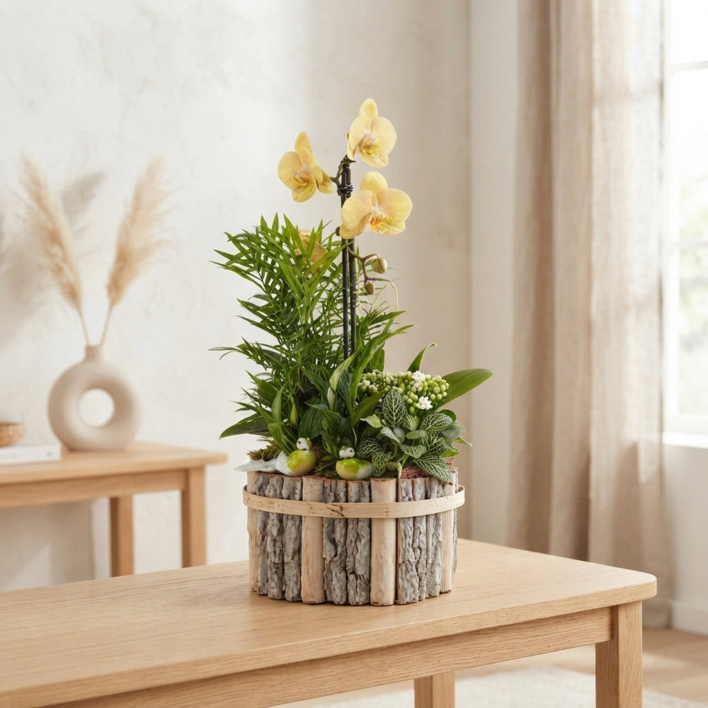 Round Beech Wood Plant Arrangement