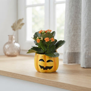 Halloween Pumpkin Arrangement – 9cm Ceramic Pot