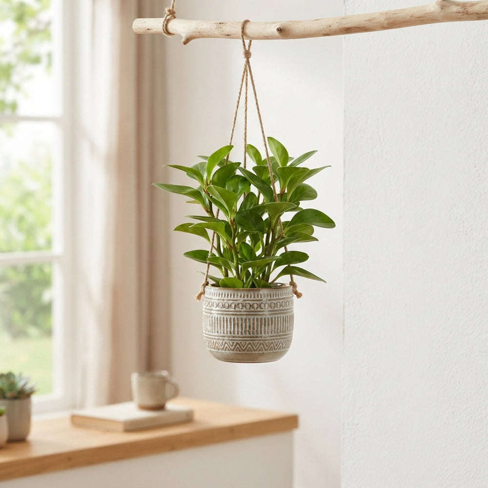 Green Mixed Decorative Foliage Swing