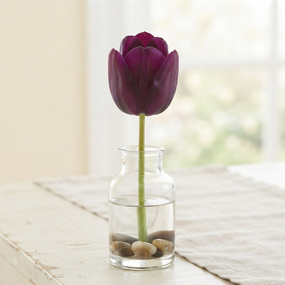 Purple Heart Garden Tulip Bulbs – Tulipa