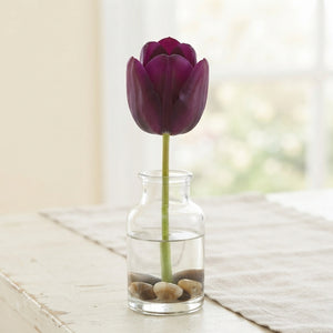 Purple Heart Garden Tulip Bulbs – Tulipa
