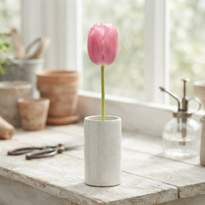 Mixed Single Late Tulip Bulbs – 12cm+