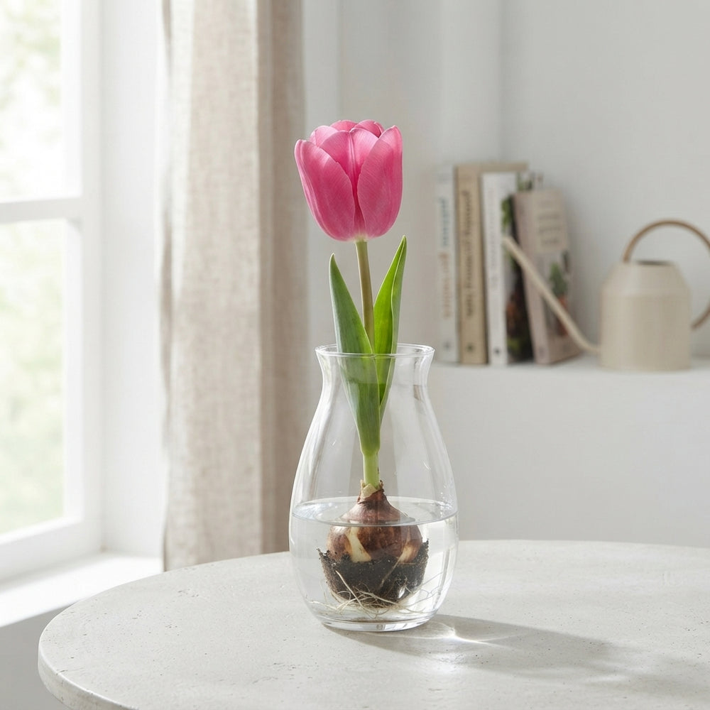 Tulipa ‘Garden Feeling Love’ Tulip Bulbs – 12cm+