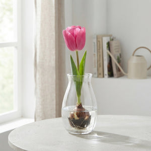 Tulipa ‘Garden Feeling Love’ Tulip Bulbs – 12cm+
