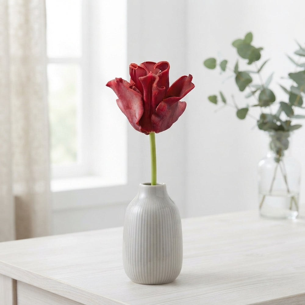Tulipa 'Crown Red Dress' Tulip Bulbs – 12/+