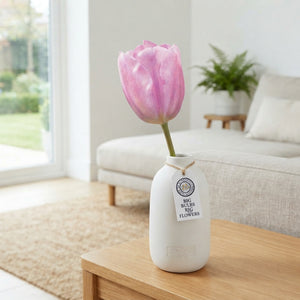 Tulipa Triumph ‘Synaeda Amor’ Flower Bulbs – 12/+