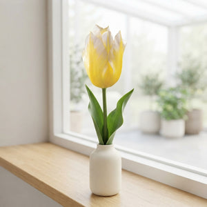 Tulipa Fosteriana ‘Sweetheart’ Flower Bulbs – 7 Bulbs