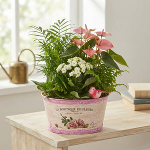 Mixed Colour Floral Arrangement