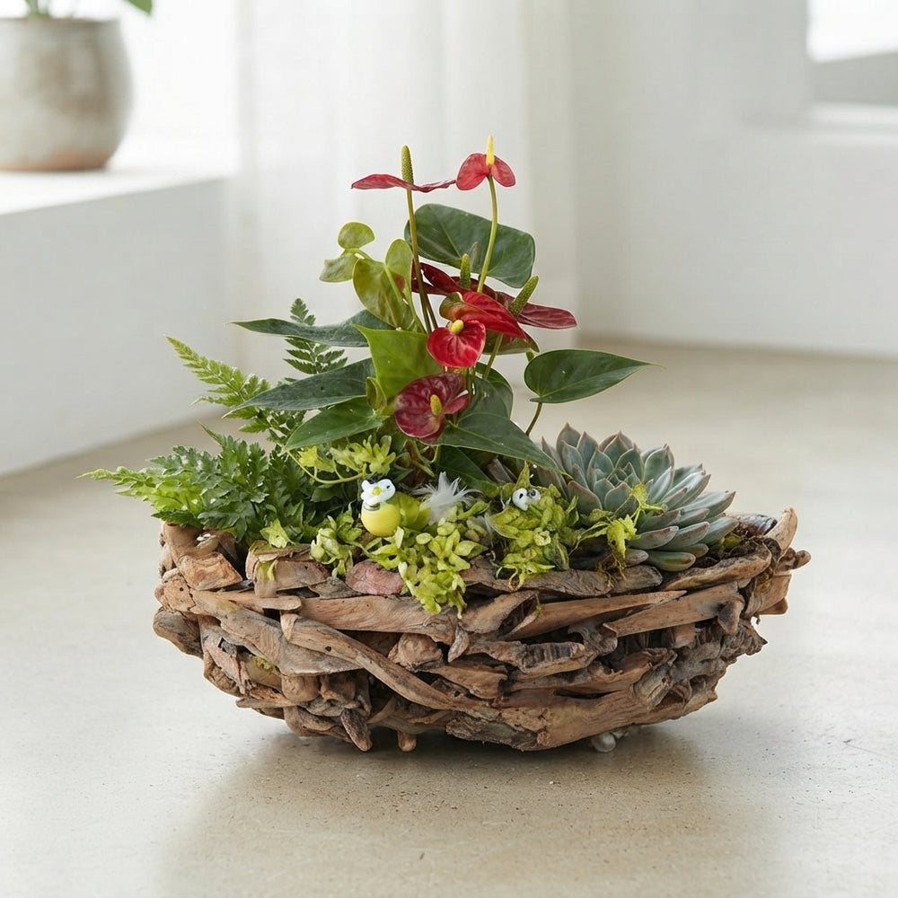 XXL Mixed-Colour Driftwood Arrangement