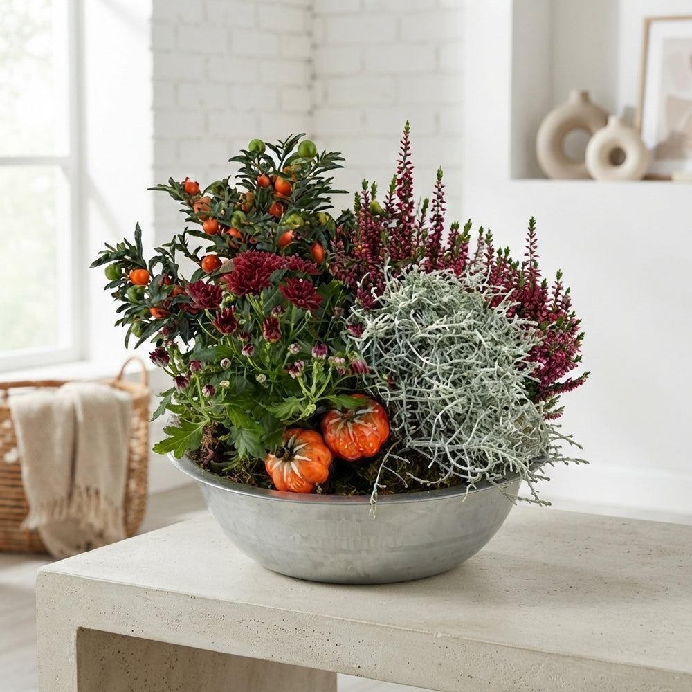 Mixed Colour Arrangement in Extra-Large Zinc Bowl