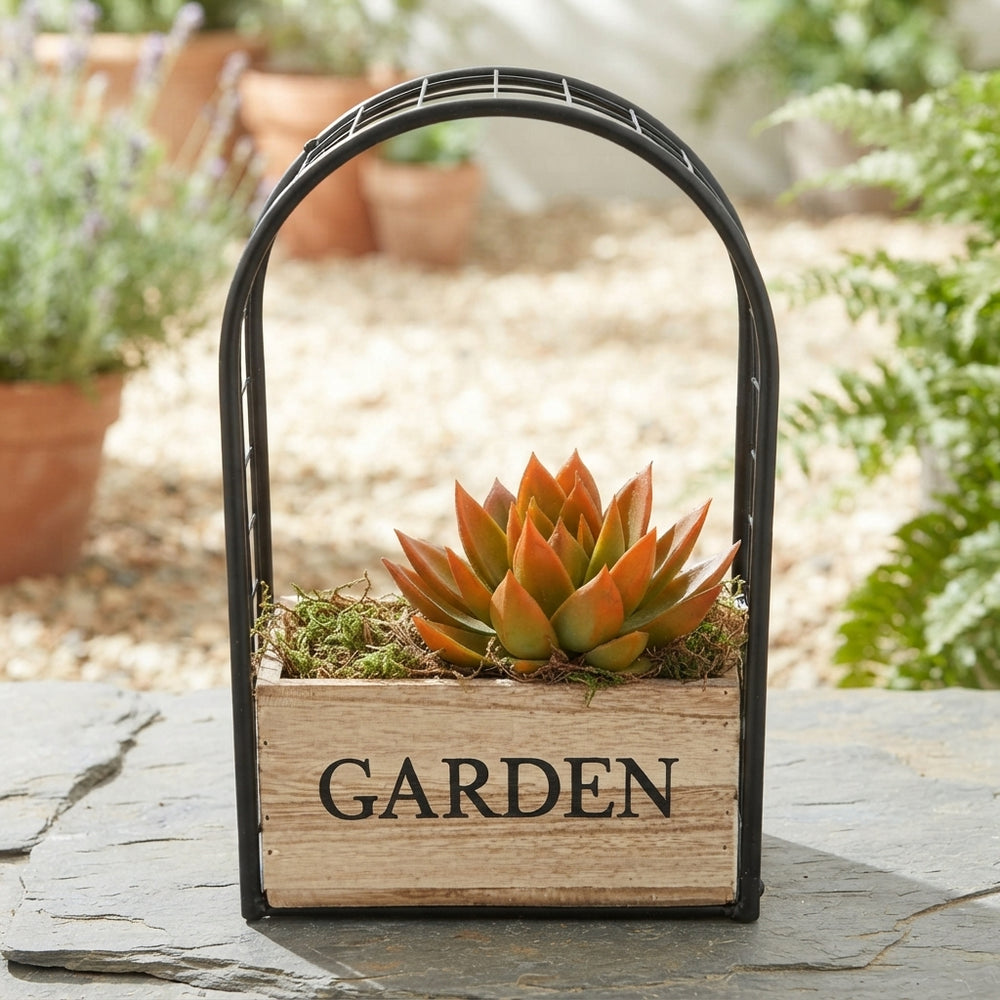 Mixed-Colour Iron Frame Garden Arrangement