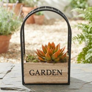 Mixed-Colour Iron Frame Garden Arrangement