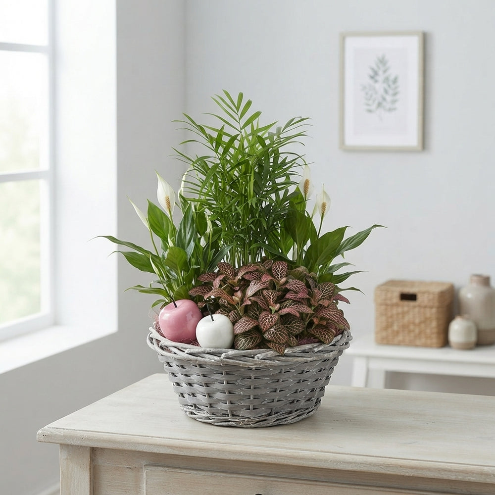 Mixed Colour Round Arrangement