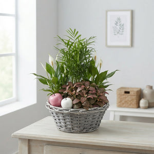 Mixed Colour Round Arrangement