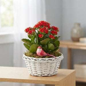 Mixed Colour Floral Arrangement – 3 Stems