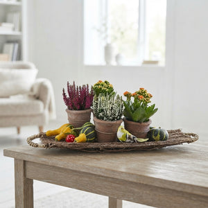 Mixed Colour Boat Arrangement – 2-Pot Display