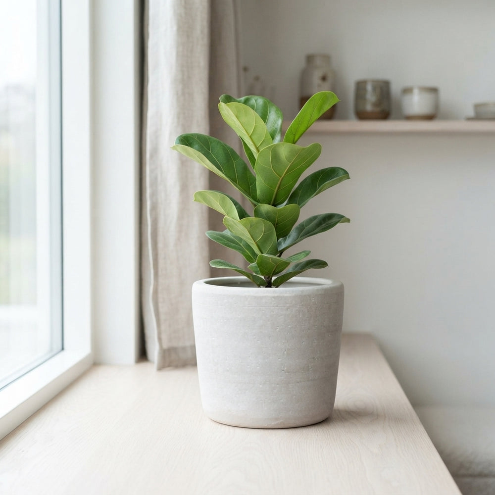 Decorative Ceramic Cylinder Plant Pot – 19cm