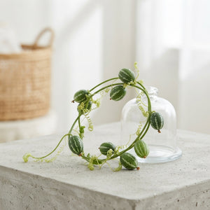 Green Cucumis Diplocyclos Decorative Stems – 4 Pieces