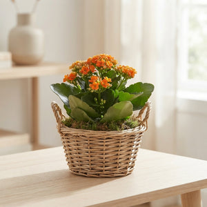 Mixed Colour Floral Arrangement