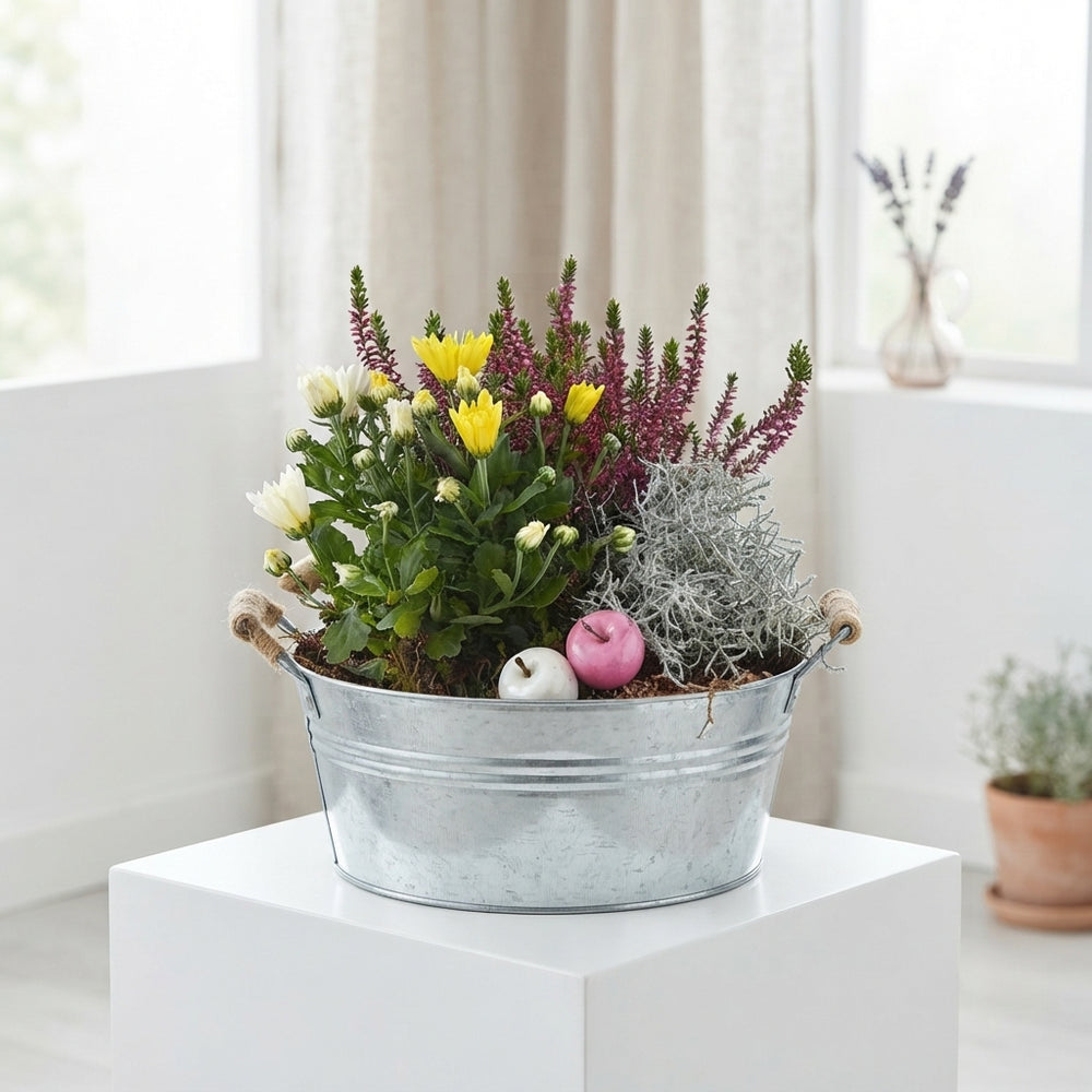 Mixed Colour Round Zinc Plant Arrangement