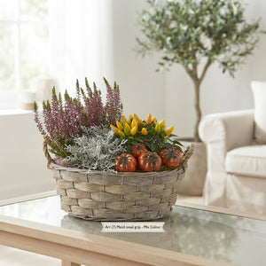 Mixed Oval Grey Plant Arrangement